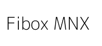 Fibox MNX